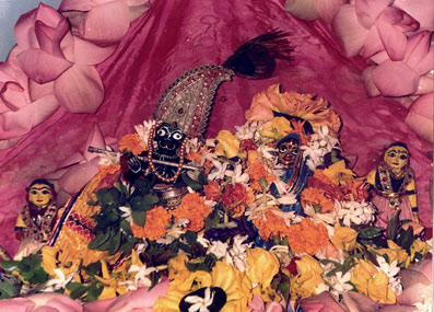 The Deity of Sri Sri Gopal Jiu.