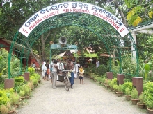 100_58341
